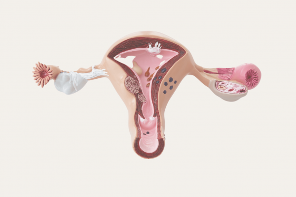 Entendendo minha FIV: Estimulação ovariana
